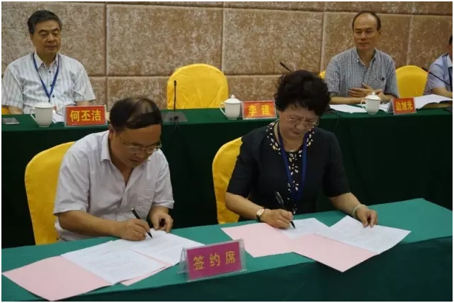 2025新澳免费资料