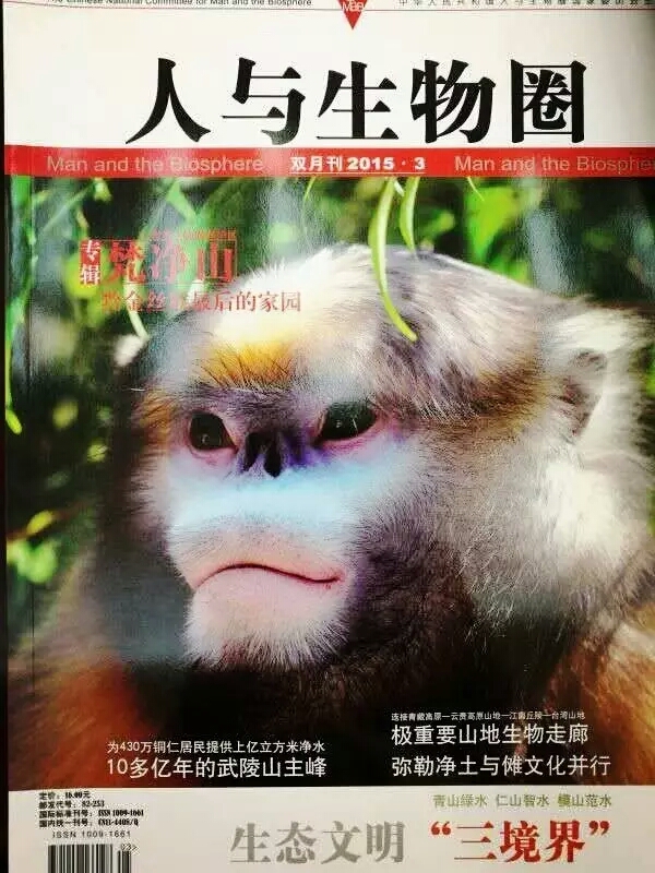 2025新澳免费资料