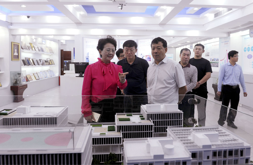 2025新澳免费资料