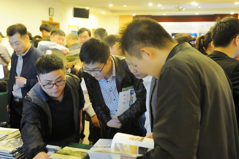 2025新澳免费资料