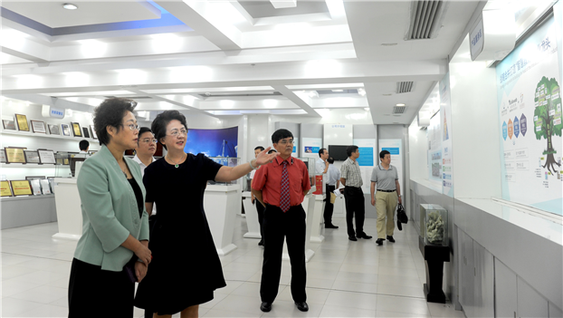 2025新澳免费资料