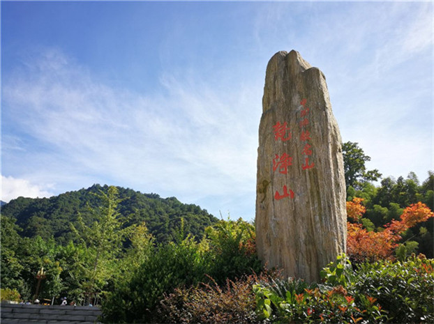 2025新澳免费资料