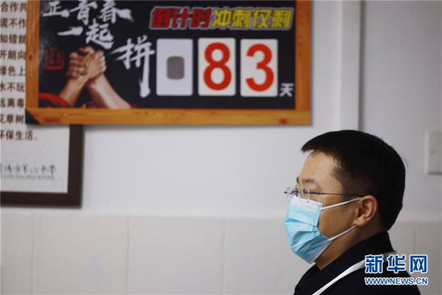 2025新澳免费资料