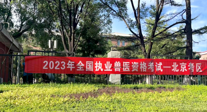 2025新澳免费资料