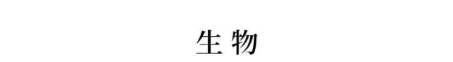 2025新澳免费资料